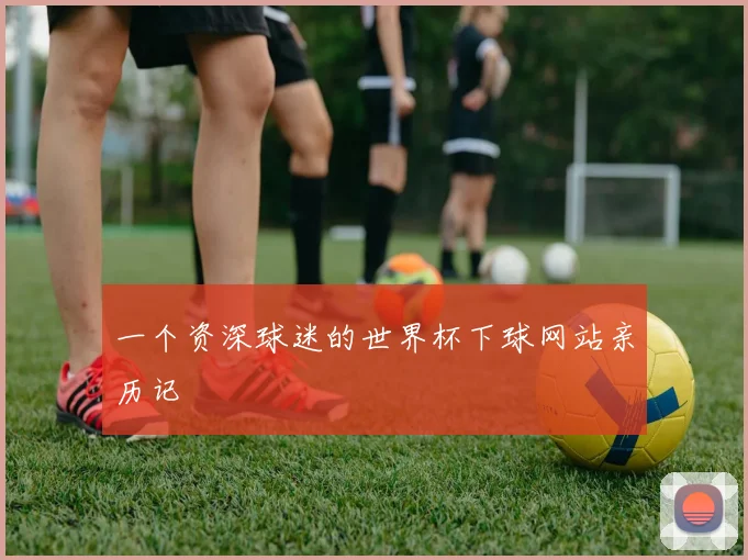 一个资深球迷的世界杯下球网站亲历记