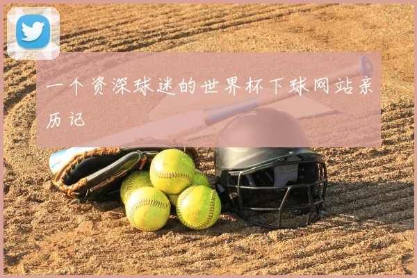 一个资深球迷的世界杯下球网站亲历记