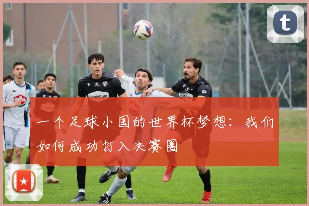 一个足球小国的世界杯梦想:我们如何成功打入决赛圈