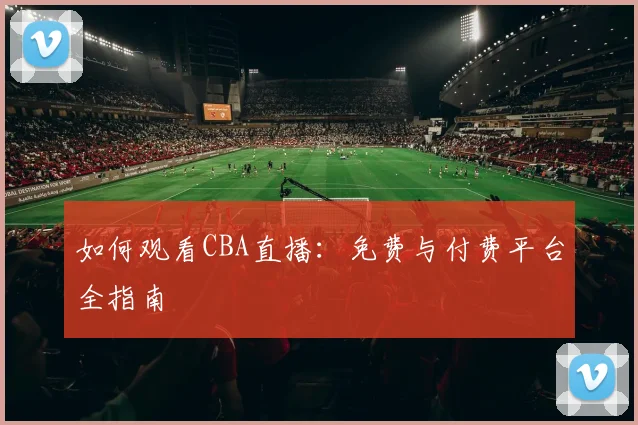 如何观看CBA直播：免费与付费平台全指南