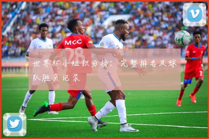 世界杯小组积分榜：完整排名及球队胜负记录