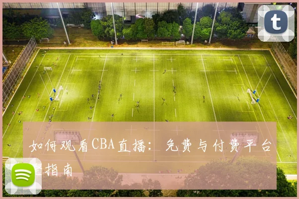 如何观看CBA直播：免费与付费平台全指南