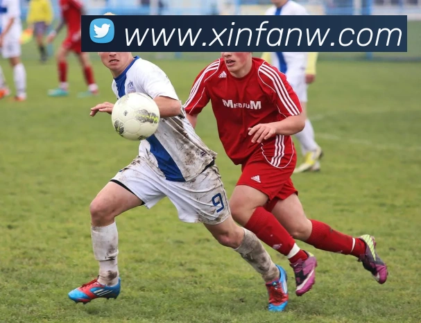 三亿体育平台生态图