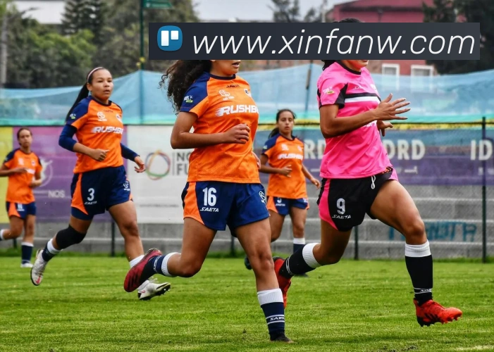 数据防护可视化